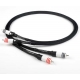 Chord Company Signature Tuned ARAY RCA