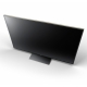 Sony FWD-100ZD9501