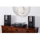 McIntosh MTI100