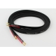 Tellurium Q Black Speaker II