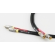 Tellurium Q Black RCA