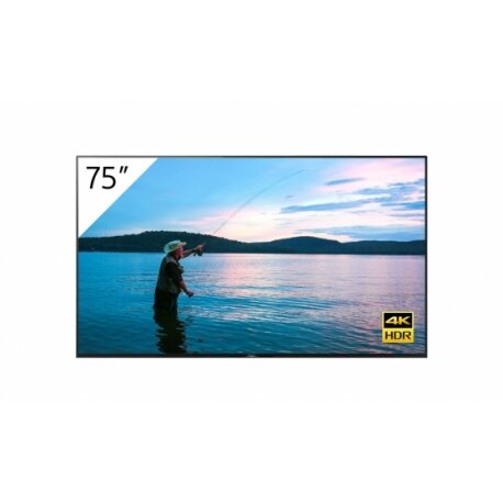 Sony FWD-75X95H/T