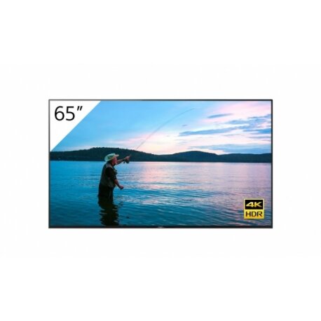 Sony FWD-65X95H/T