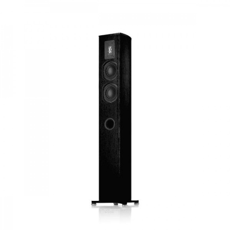 Piega Premium 501 Wireless