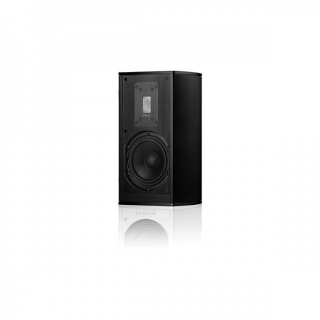 Piega Premium 301 Wireless