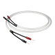 Chord Company Clearway (Chord Ohmic)