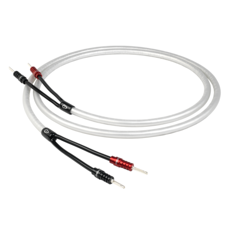 Chord Company Clearway (Chord Ohmic)