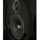 DLS FLATBOX D-ONE (BLACK PIANO)
