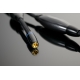 Transparent XL REFERENCE RCA Gen6