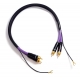 Melodika MDPH Purple Rain