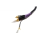 Melodika MDPH Purple Rain