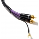 Melodika MDPH Purple Rain
