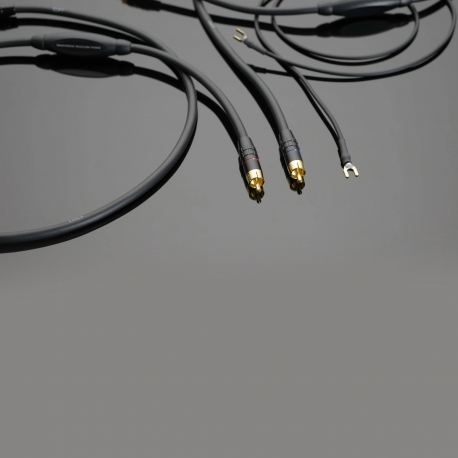 Transparent MUSIC LINK PHONO 6Gen