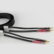 Tellurium Q Black Diamond