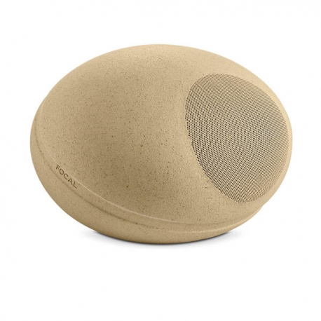Focal LITTORA STONE 8
