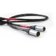 Tellurium Q Black II XLR