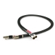 Tellurium Q Black Diamond XLR