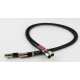 Tellurium Q Black Diamond XLR
