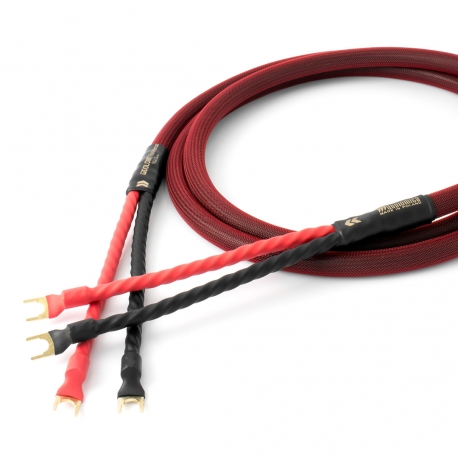Audiomica Laboratory Dolomit Reference Seria RED