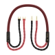 Audiomica Laboratory Dolomit Reference Seria RED