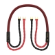 Audiomica Laboratory Dolomit Reference Seria RED