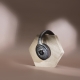Focal HADENYS
