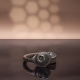 Focal HADENYS