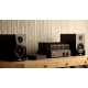 WiiM Pro Plus