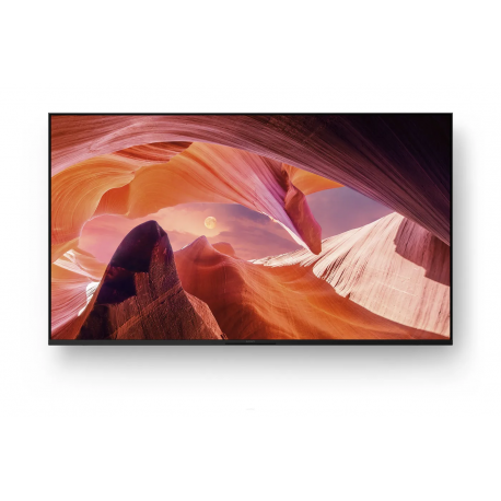 Sony FWD-55X80L