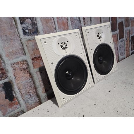 Paradigm AMS300 V2 używane