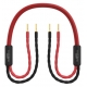 Audiomica Laboratory Dolomit Reference Seria RED