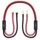 Audiomica Laboratory Dolomit Reference Seria RED