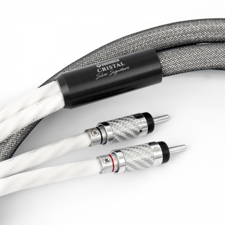 Audiomica Laboratory CRISTAL Silver Signature
