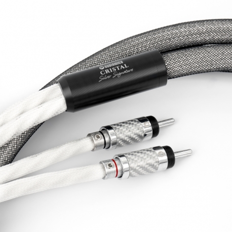 Audiomica Laboratory CRISTAL Silver Signature