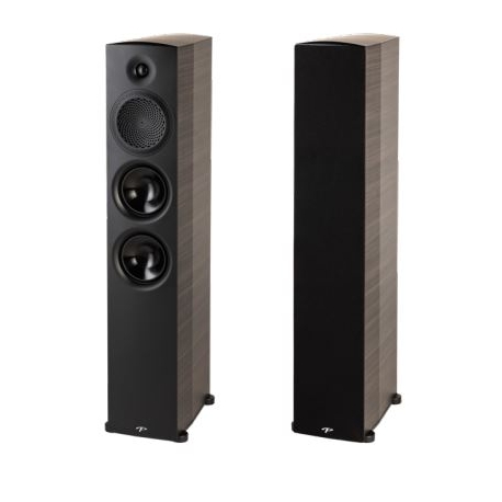 Paradigm PREMIER 800F
