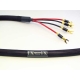 PAD Musaeus Speaker Cables